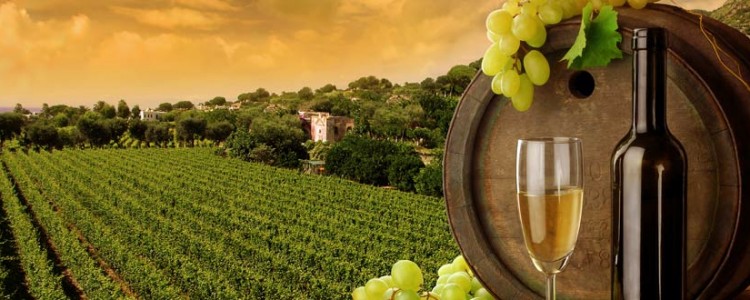 Best wine regions to visit on a cruise