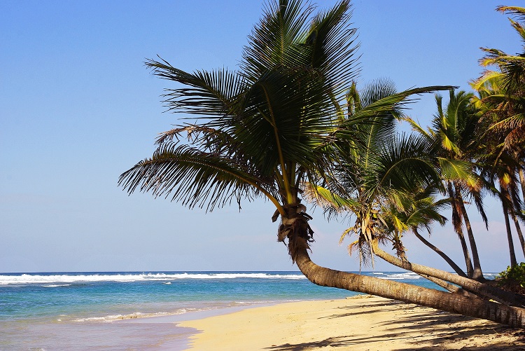 Beach in the Caribbean - Punta Cana