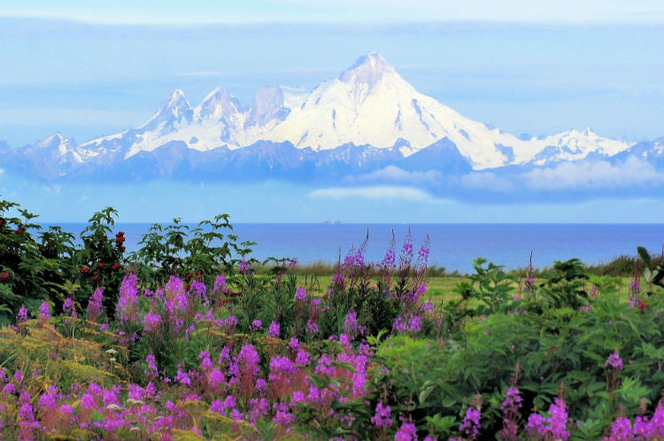 Landscape of Alaska