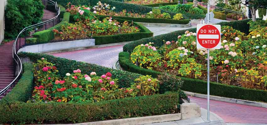 The world-famous Lombard Street in San Francisco