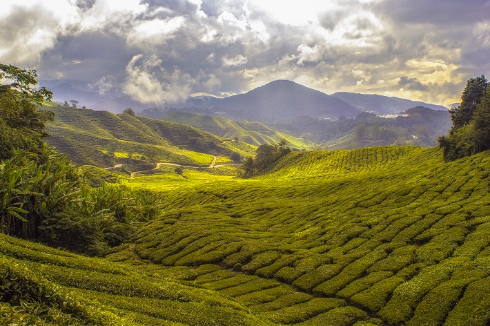 Sunlight breaking over Malaysian mountains and paddy fields