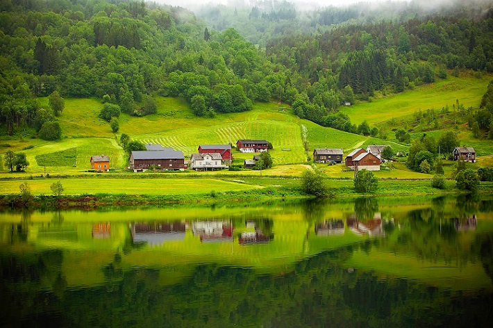 Pretty red houses on the lush banks of a fjord in Norway