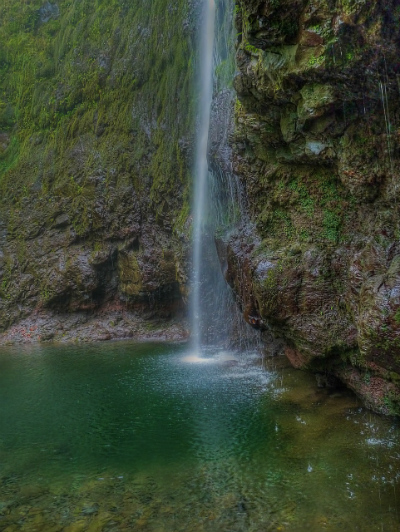 A waterfall in a forest in Madeira in Portugal