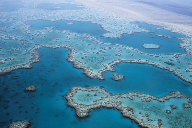 Great Barrier Reef - Cairns