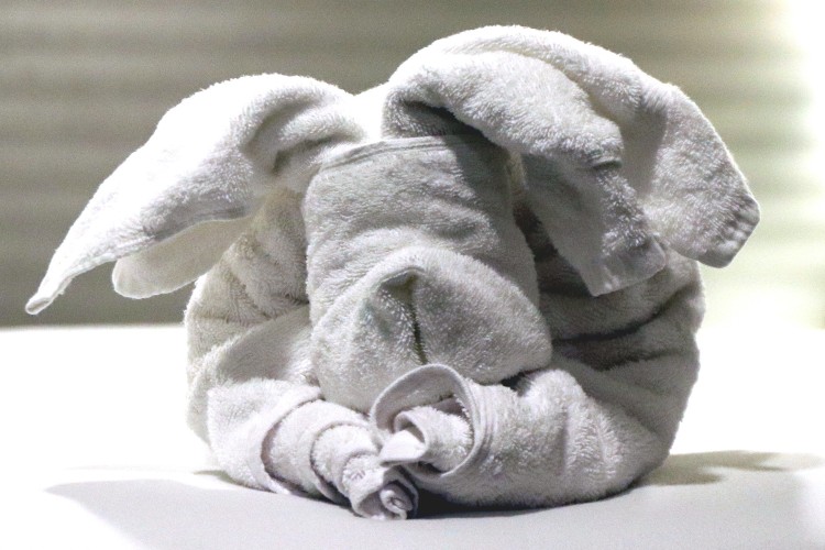 Towel folding