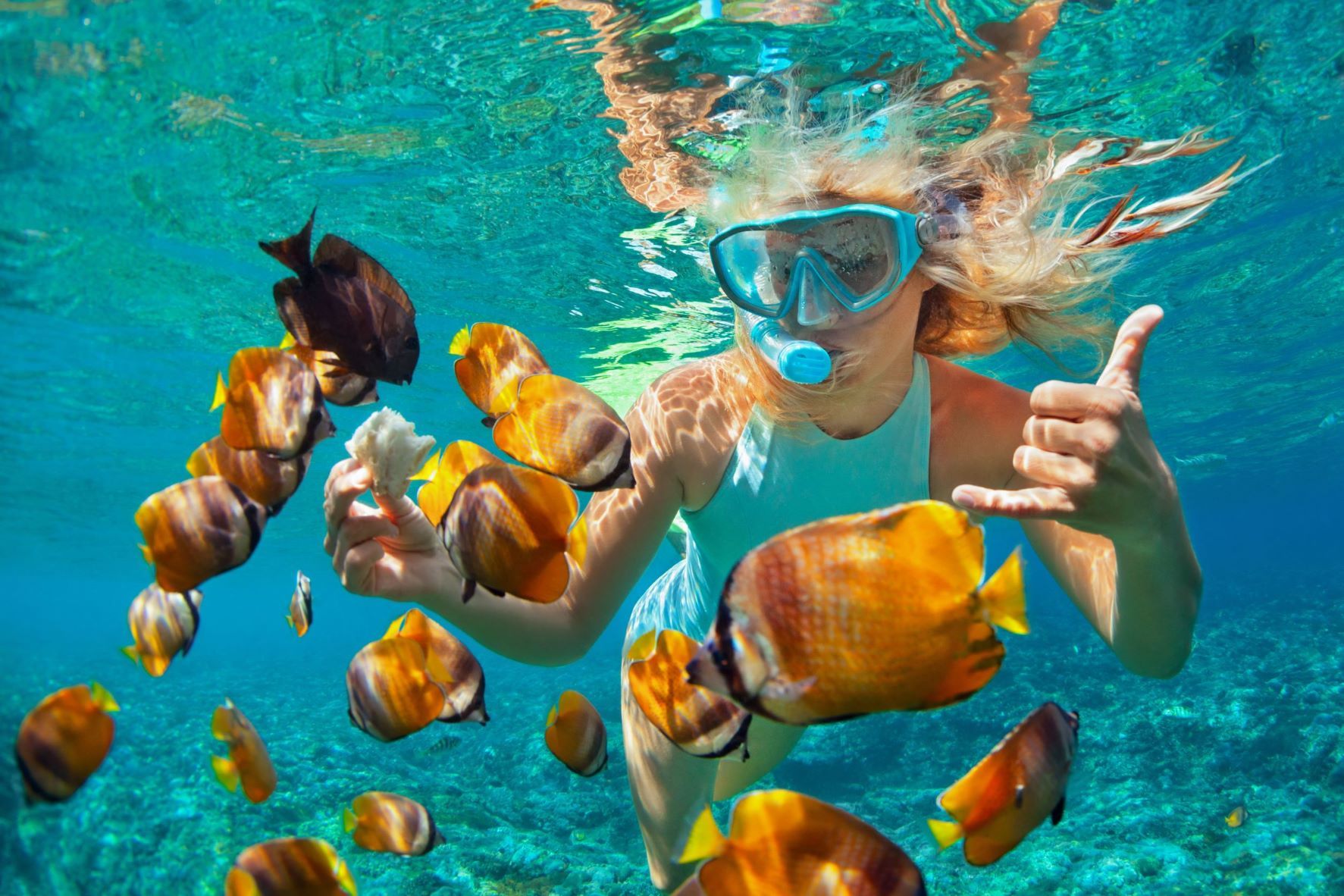 girl snorkelling with fish 