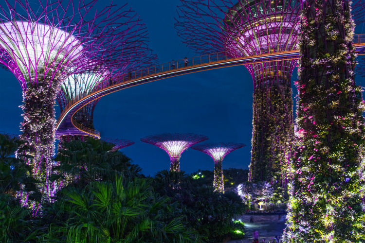 Supertrees in Singapore