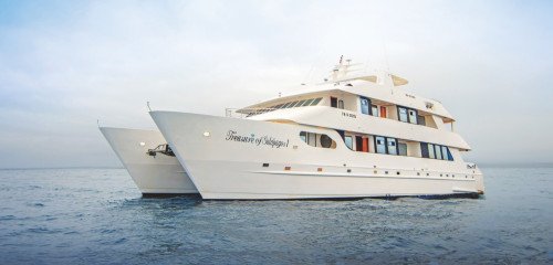 Treasure of Galapagos Image