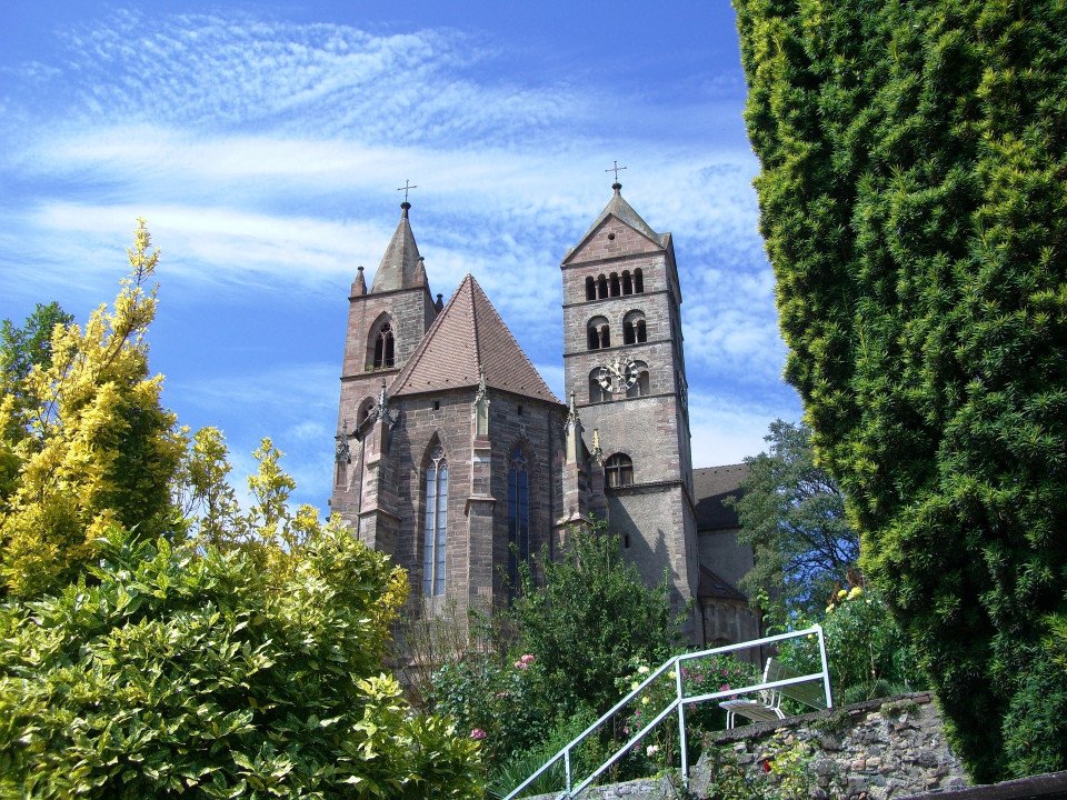14 Image 14
