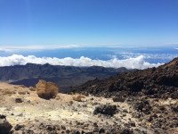 11 Image 11