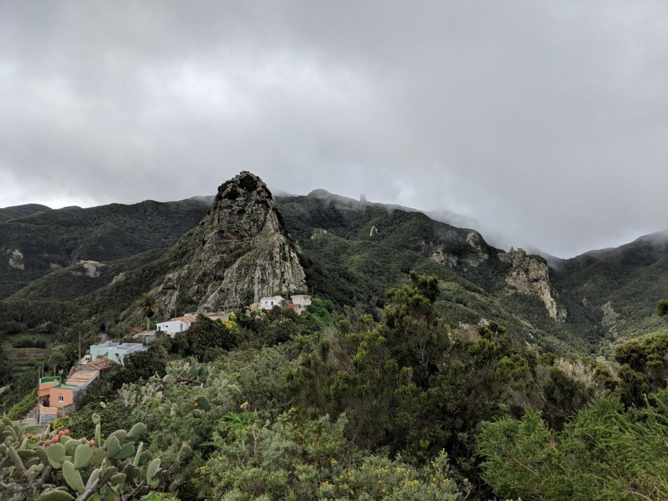 7 Image 7