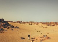 13 Image 13