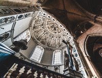 11 Image 11