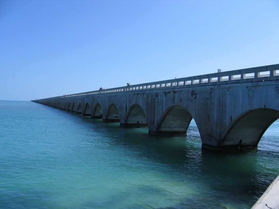 7 Image 7