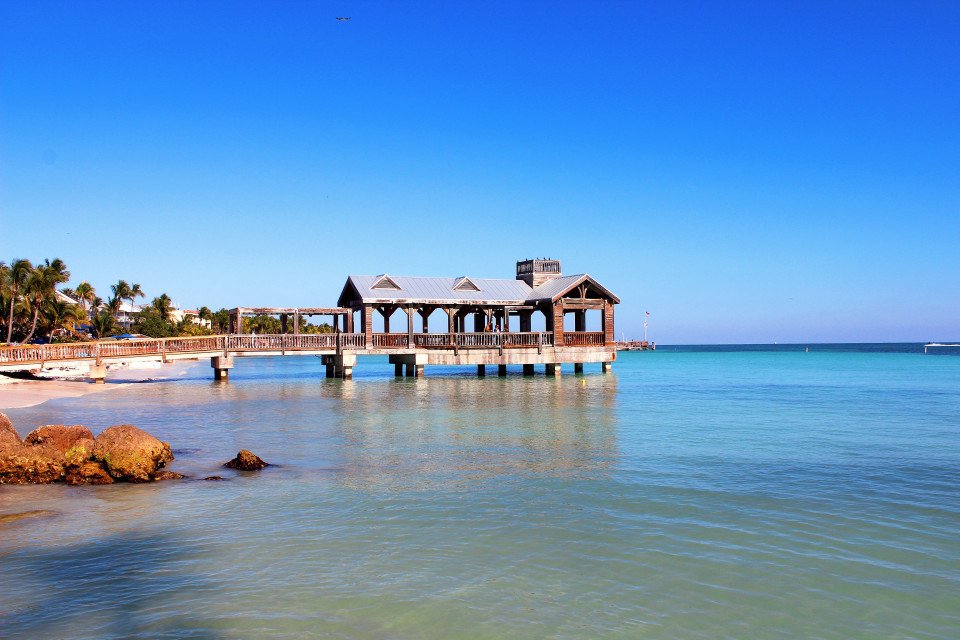 8-Day Bahamas search image