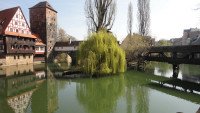 31 Image 31