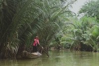 6 Image 6