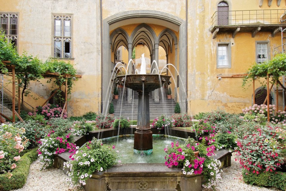 7 Image 7