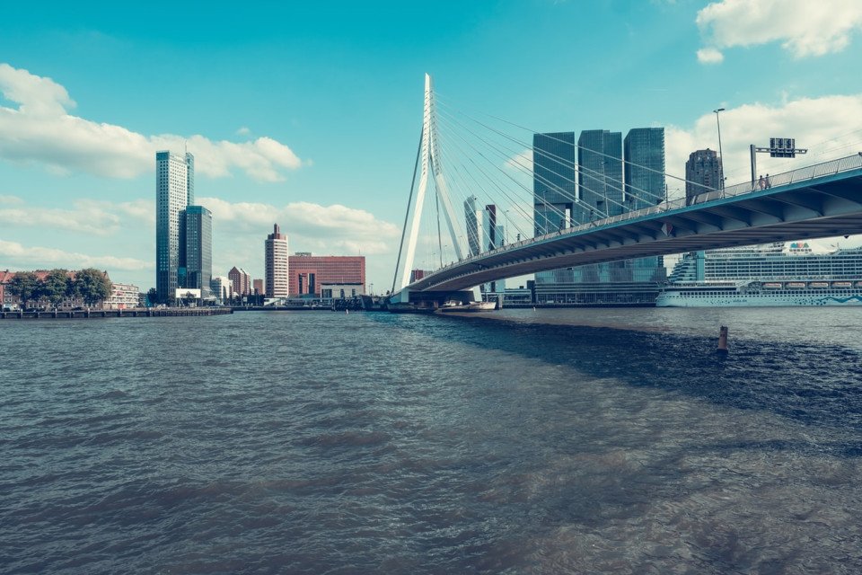 5 Image 5