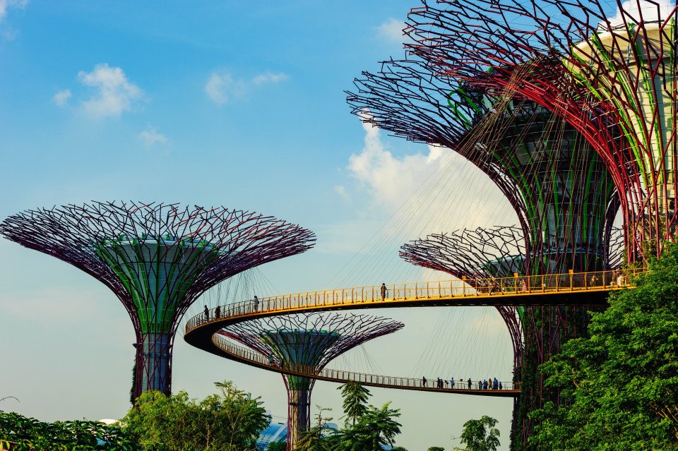 9 Image 9
