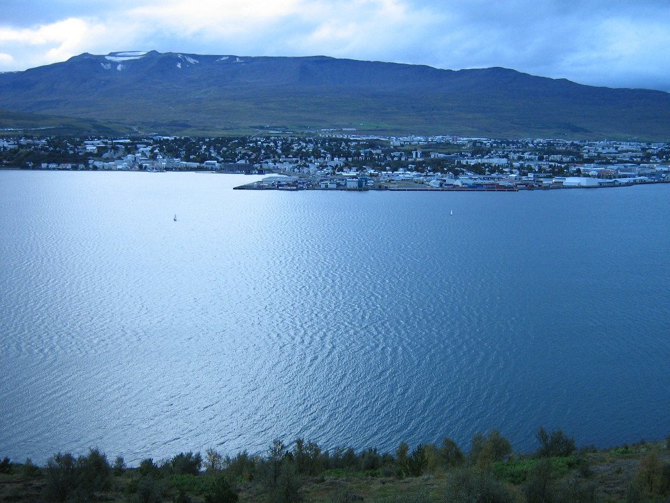 4 Image 4