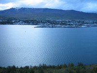 4 Image 4