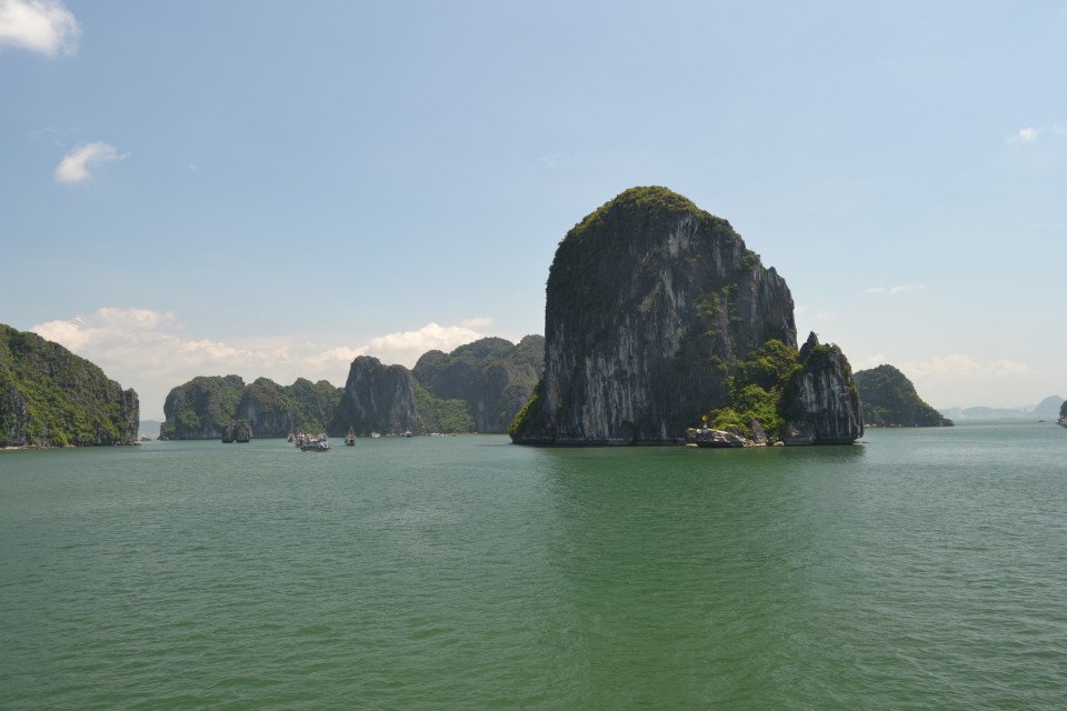 7 Image 7