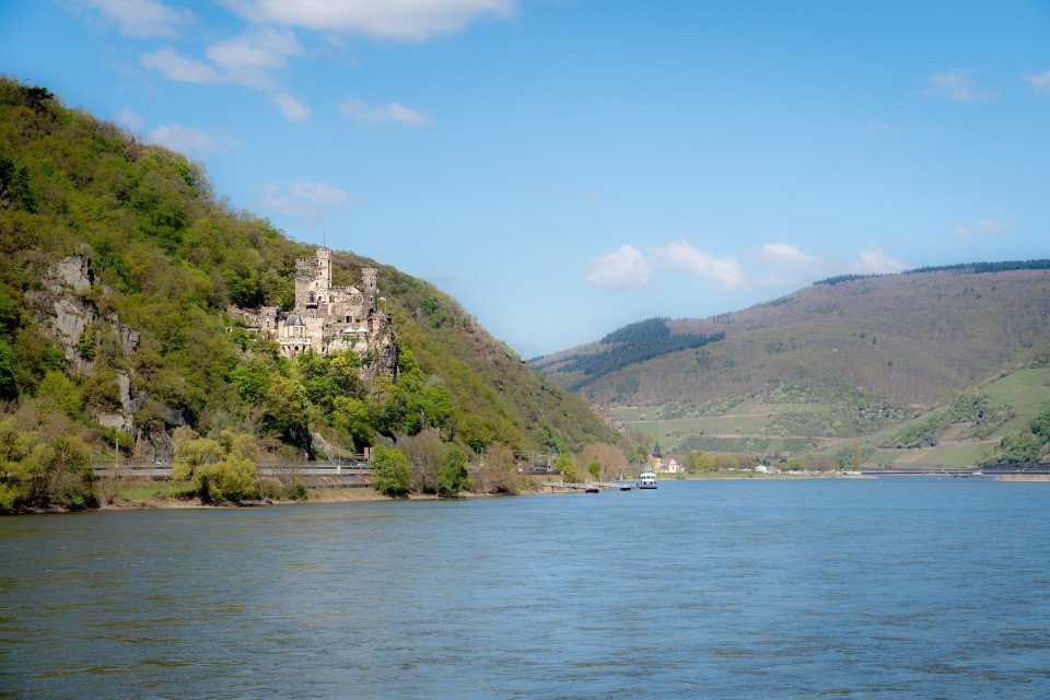 12 Image 12
