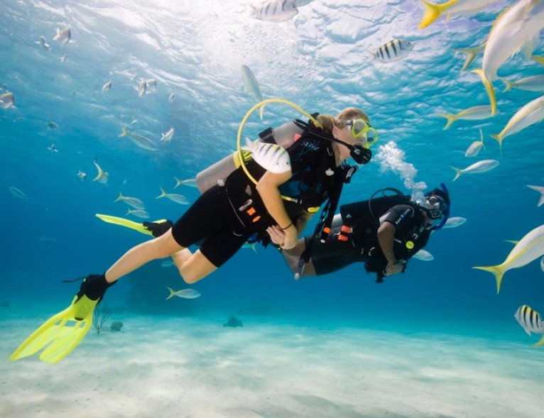 Scuba Diving Certification 