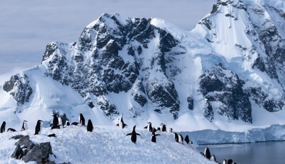 Antarctica