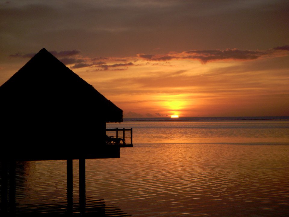 1 Image 1