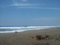 7 Image 7