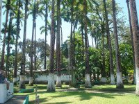 11 Image 11