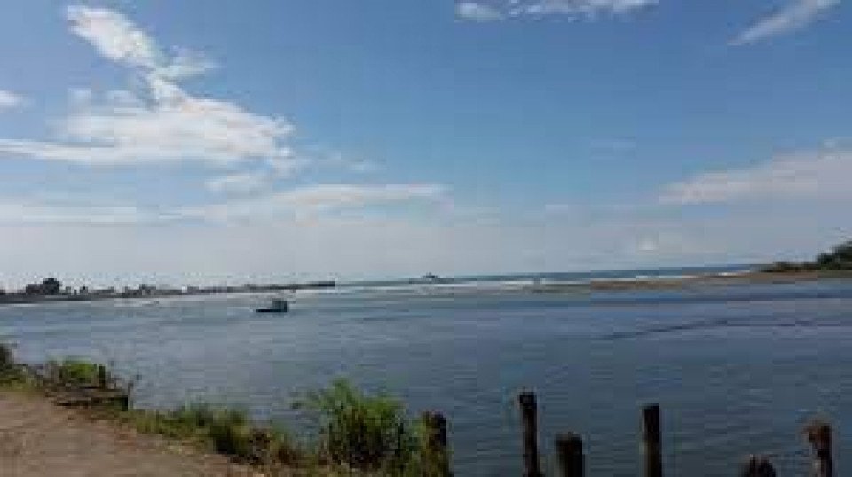 7 Image 7