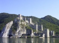 11 Image 11