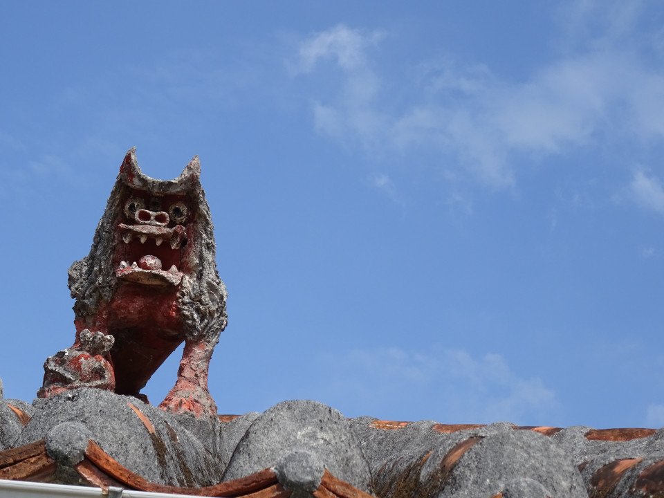 7 Image 7