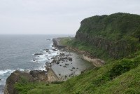 14 Image 14