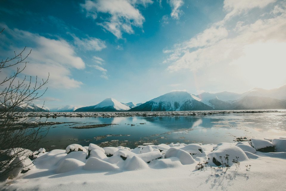 5 Image 5