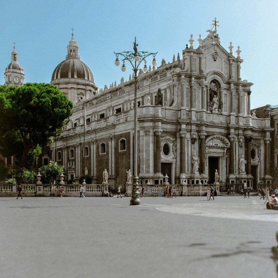 7 Image 7