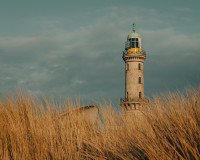 11 Image 11