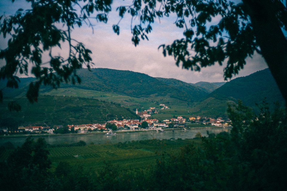 11 Image 11