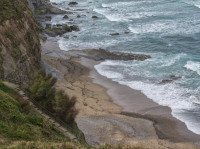 31 Image 31