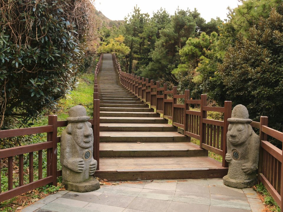 4 Image 4