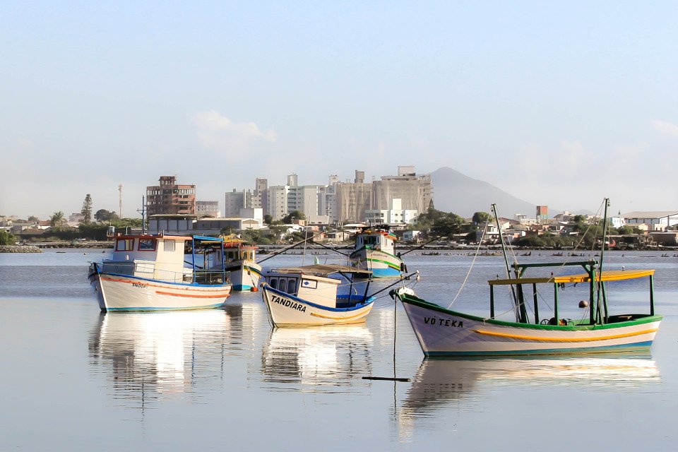 10 Image 10
