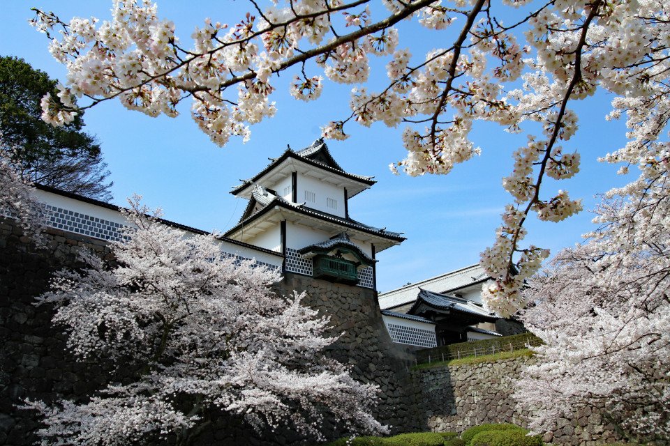 14 Image 14