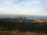 13 Image 13