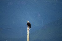 12 Image 12