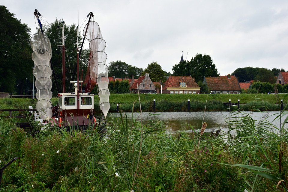 5 Image 5