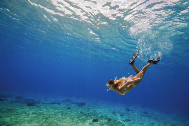 Snorkel Excursions