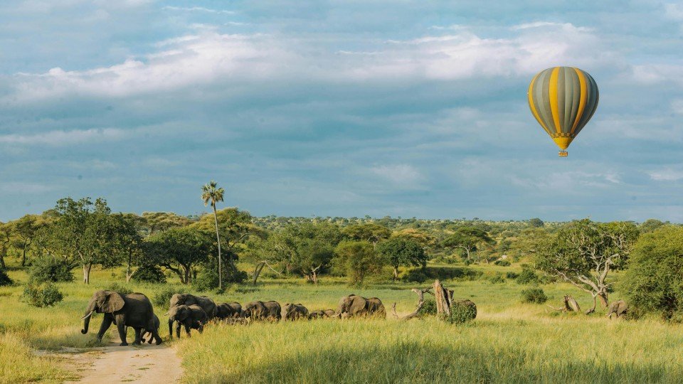 Tanzania